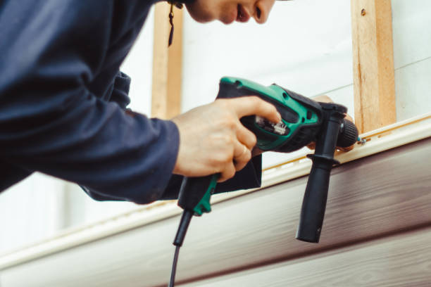 Best Demolition Debris Removal  in Sherman, IL